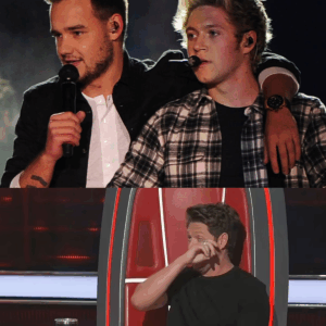 [VERY SAD] Voice Coach Season 28 Niall Horan Opens Up About His Last Night With Liam Payne