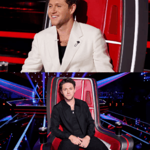 The Reason Why Niall Horan Left ‘The Voice’ Season 25 And Decided to Return for Season 28