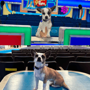 Miss Penny got a backstage pass to The Price Is Right and won her forever hom